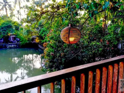 WhatsApp Image 2025-01-03 at 2.17.23 PM (1)