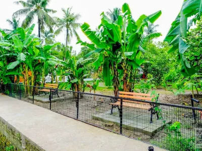 WhatsApp Image 2025-01-03 at 2.17.30 PM (1)