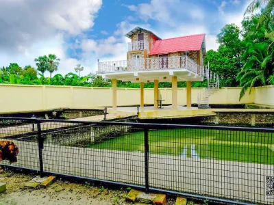 WhatsApp Image 2025-01-03 at 2.17.31 PM (1)