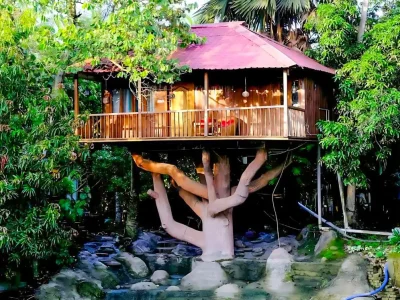 WhatsApp Image 2025-01-10 at 3.32.13 PM (1)