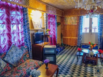 dal lake houseboat room11